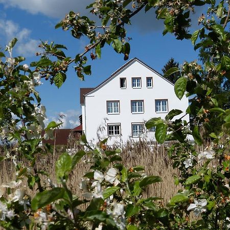 Das Haus Am Teich Gross Grabow Eksteriør billede